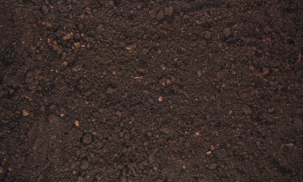 What Determines How Corrosive Your Soil Is?