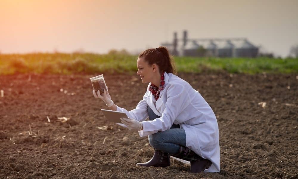 The Different Methods of Soil Testing